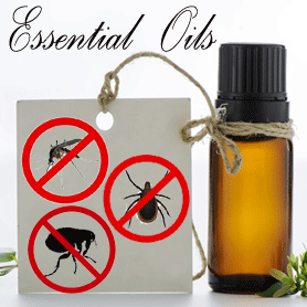 Essential Oils Repel Bugs