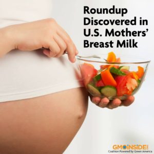 Roundup® in US Mother Breast Milk GMOINSIDE!