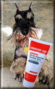 Crosstex Vet Oral Tooth Gel