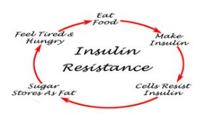 Insulin Resistance diagram